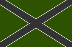 Флаг Новороссия полевой  фото