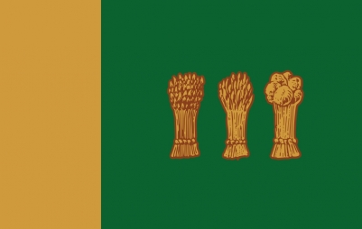 Двухсторонний флаг Пензы