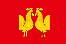 Флаг Петушинского района  фото