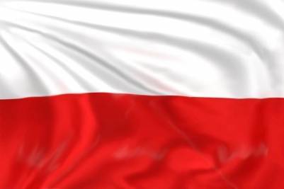 Флажок на палочке Флаг Польши