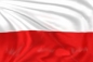 Флажок на палочке Флаг Польши. Фотография №1