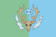 Флаг Приуральского района ЯНАО фото
