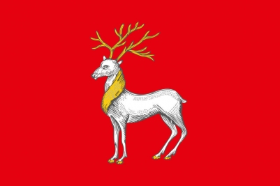 Флаг Ростова