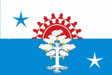 Флаг Серова фото
