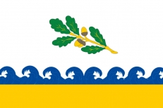 Флаг Сестрорецка  фото