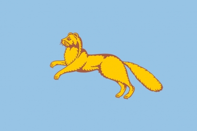 Флаг Шадринска