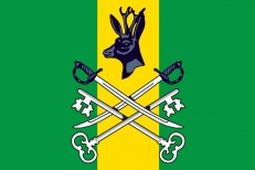 Флаг Шилкинского района  фото