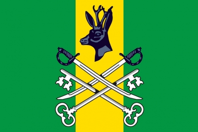 Флаг Шилкинского района