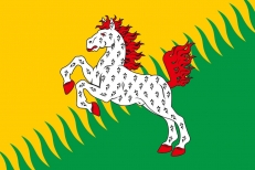 Флаг Сивинского района  фото