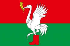 Флаг Талдомского района  фото