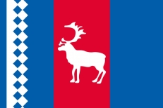 Флаг Тазовского района фото