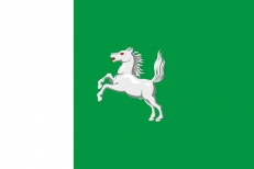 Флаг Томска  фото