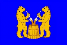 Флаг Устьянского района  фото
