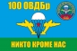 Флаг ВДВ 100-я гвардейская отдельная воздушно-десантная бригада. Фотография №1