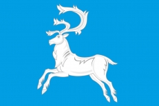 Флаг Вилюйска  фото