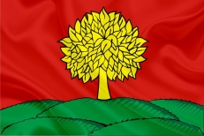 Флаг Липецкой области  фото