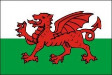 Флаг Уэльса  фото