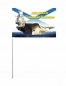 Флаг "Авианосец Адмирал Кузнецов". Фотография №3
