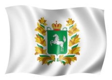 Флаг Томской области фото