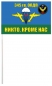 Флаг 345 гв. ОПДП ВДВ. Фотография №4
