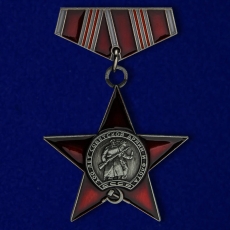 Фрачник ордена 100 лет Советской армии и флота  фото