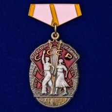 Фрачник ордена "Знак Почёта СССР на колодке" фото