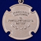 Медаль За государственную службу казаков России. Фотография №2