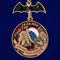 Медаль "14 Гв. ОБрСпН ГРУ" фото