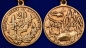 Медаль "20 лет вывода войск из Афганистана" (1989-2009) . Фотография №5