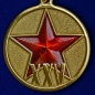 Медаль «25 лет вывода войск из Афганистана». Фотография №2