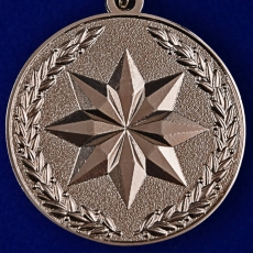 Медаль "За достижения в области развития инновационных технологий" МО РФ фото