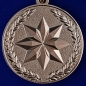 Медаль "За достижения в области развития инновационных технологий" МО РФ. Фотография №1