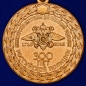 Медаль МВД "300 лет Российской полиции". Фотография №3