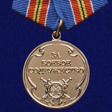 Медаль «За боевое содружество» (МВД) фото