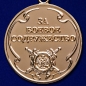 Медаль МВД РФ «За боевое содружество». Фотография №2