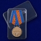 Медаль МВД РФ «За боевое содружество». Фотография №8