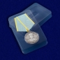 Медаль Нестерова. Фотография №8