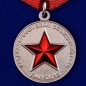 Медаль "Солдат своей страны". Фотография №1