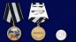 Медаль Спецназа ВМФ «Ветеран». Фотография №5