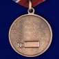 Медаль "Участник боевых действий на Северном Кавказе". Фотография №2