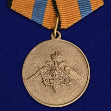 Медаль Участнику борьбы со стихией на Амуре  фото