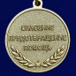 Медаль "Ветеран МЧС России". Фотография №2