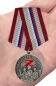 Медаль Волонтеру России. Фотография №7
