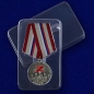 Медаль Волонтеру России. Фотография №8