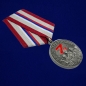 Медаль Волонтеру России. Фотография №4