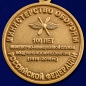 Медаль "100 лет инженерно-авиационной службе" ВКС. Фотография №2
