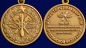 Медаль "100 лет инженерно-авиационной службе" ВКС. Фотография №4