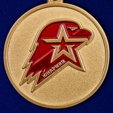 Медаль Юнармии 1 степени  фото