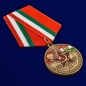 Медаль "Южная группа войск". Фотография №4