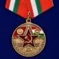 Медаль "Южная группа войск". Фотография №1